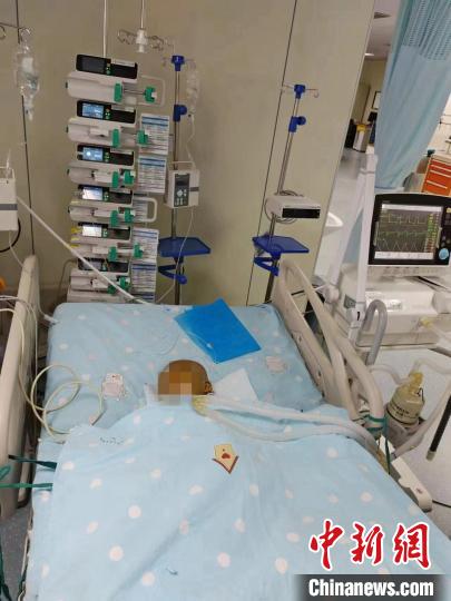 图为“小红薯”在ICU治疗。　魏巧玲供图