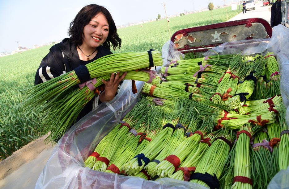 1680570462610362.png 微信截图_20230404090015.png