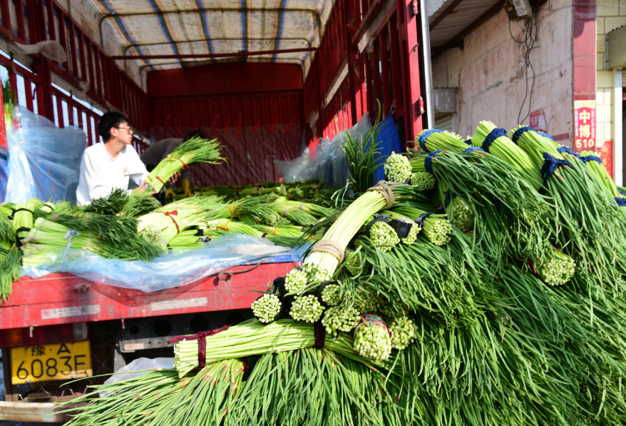 1680570488496284.png 微信截图_20230404090027.png