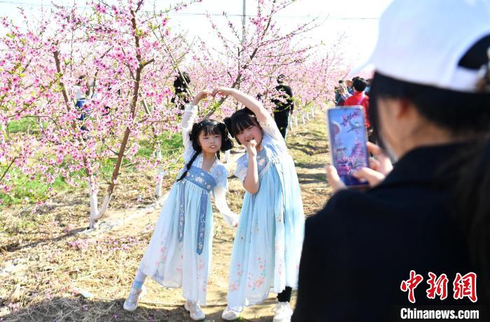 雄安容城：千亩花果林迎万名游客“打卡”