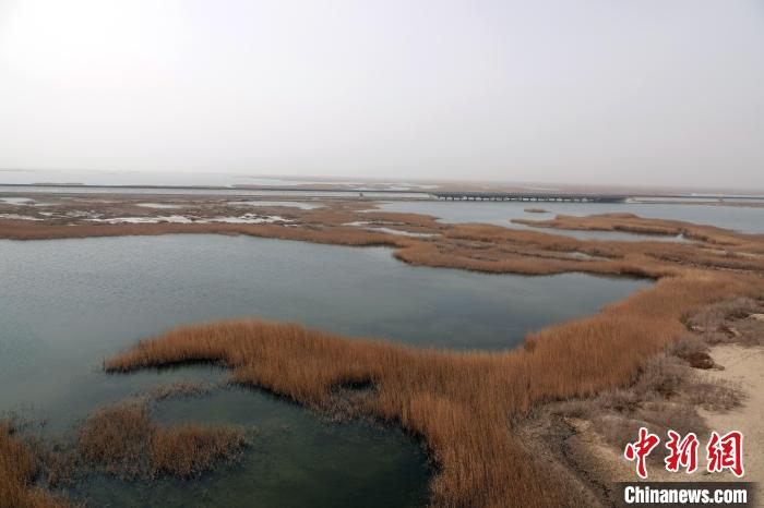 在台特玛湖观测站瞭望高塔上拍摄的台特玛湖区一角。 <a target='_blank' href='/'>中新社</a>记者 孙自法 摄 在台特玛湖观测站瞭望高塔上拍摄的台特玛湖区一角。 <a target='_blank' href='/'>中新社</a>记者 孙自法 摄