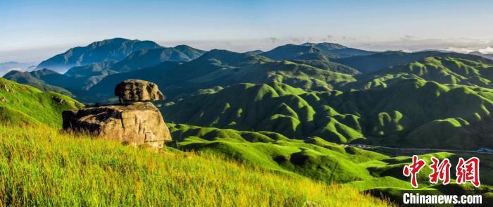 柘荣县鸳鸯草场是中国南方少有的生态宝地,为福建省最大的天然草场。 宁德市委宣传部 供图 柘荣县鸳鸯草场是中国南方少有的生态宝地,为福建省最大的天然草场。 宁德市委宣传部 供图