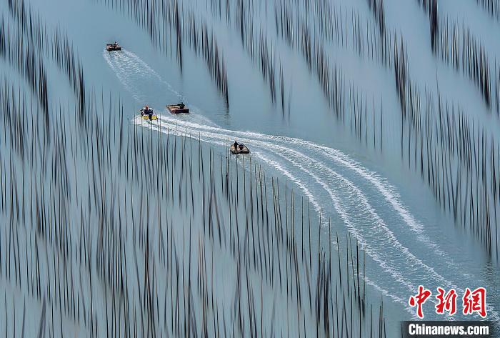 碧海溢彩、落日熔金的霞浦滩涂,享有“国际滩涂摄影胜地”美誉,引得众多摄影家趋之若鹜。 宁德市委宣传部 供图 碧海溢彩、落日熔金的霞浦滩涂,享有“国际滩涂摄影胜地”美誉,引得众多摄影家趋之若鹜。 宁德市委宣传部 供图