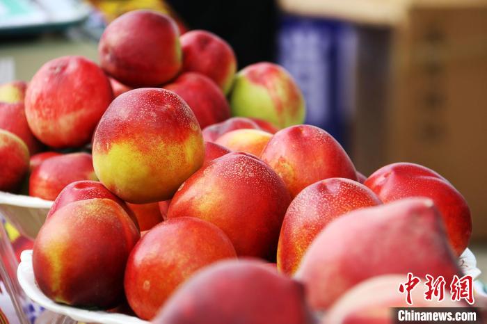 红彤彤的油桃。 宋建泽 摄 红彤彤的油桃。 宋建泽 摄