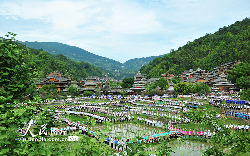 2023年6月10日，侗族群众在贵州省黎平县肇兴侗寨的田园中演唱侗族大歌。
