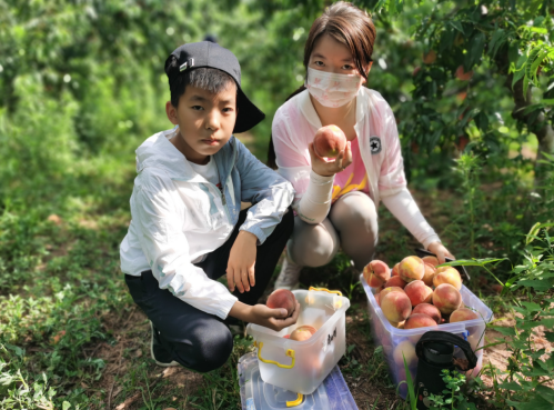 微信截图_20230626083213.png