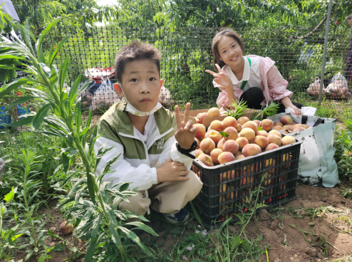 微信截图_20230626083219.png
