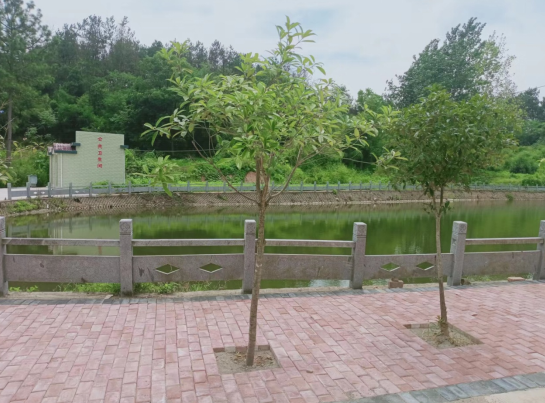 微信截图_20230716174532.png