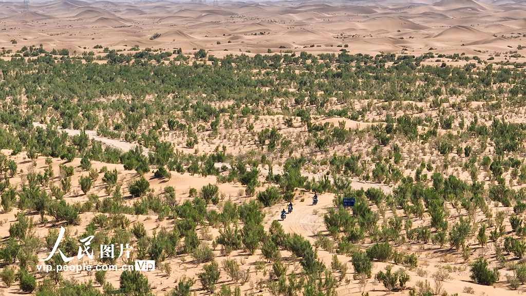 甘肃临泽：巡护防风固沙林