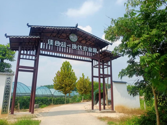 微信截图_20230822073215.png