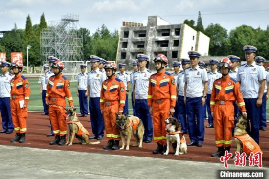 四川成都：4只消防搜救犬退役有了新家