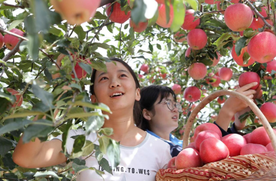 微信截图_20230901181233.png