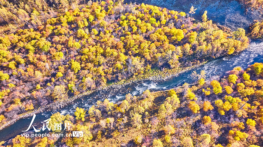 内蒙古阿尔山：迷人秋色惹人醉